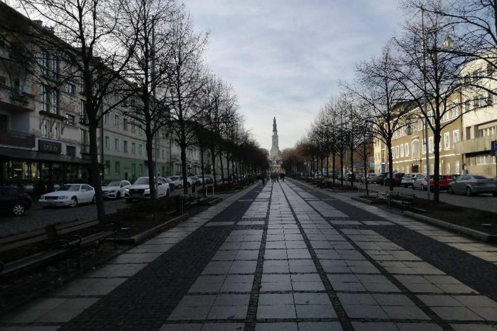 Apartament Lucy - Scisle Centrum Czestochowy Częstochowa Exteriör bild